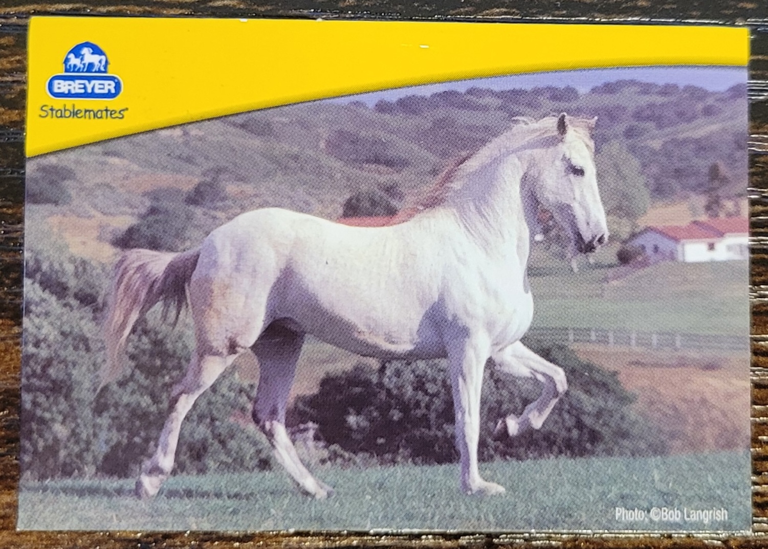 SM Peruvian Paso: Grey - Various Sets | BreyerHorseRef